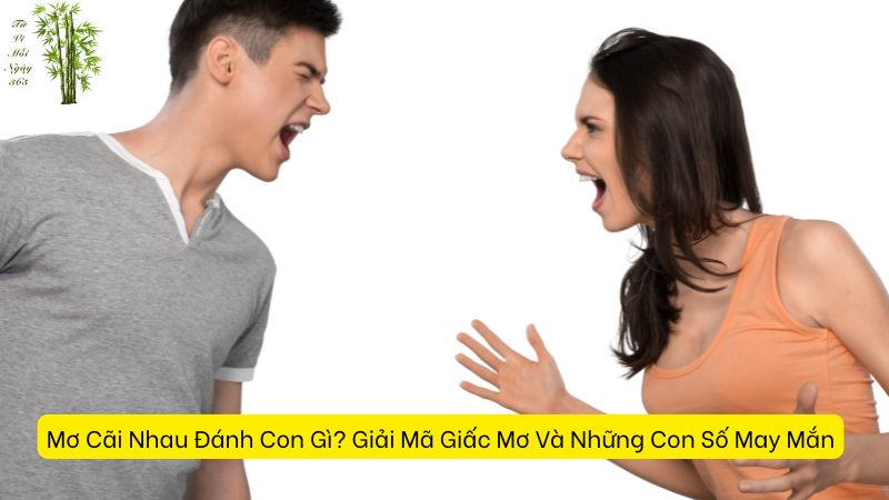 Mơ Cãi Nhau Đánh Con Gì? Giải Mã Giấc Mơ Và Những Con Số May Mắn