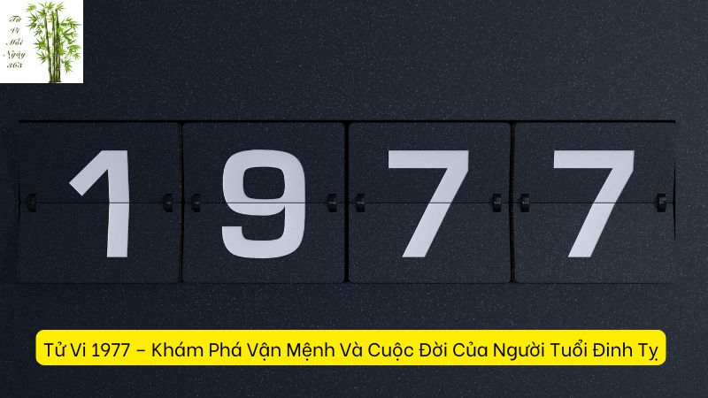 Tử Vi 1977 – Khám Phá Vận Mệnh Và Cuộc Đời Của Người Tuổi Đinh Tỵ